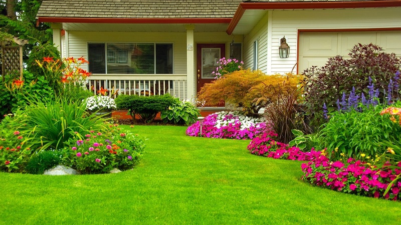 Contact Local Landscaping Services Central Coast
